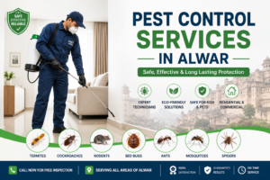 pestcontrolalwar