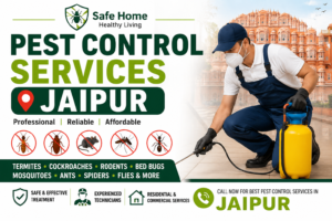 pest control in jaipur

