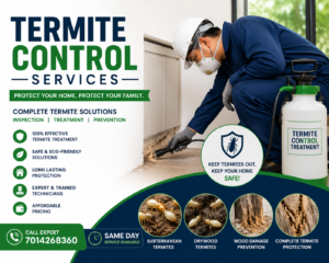 Termite Control Services in Jaipur